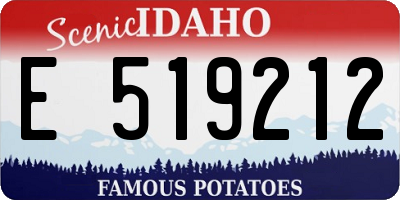 ID license plate E519212