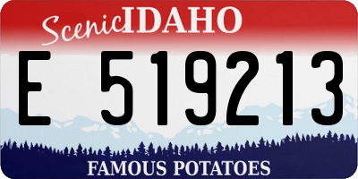 ID license plate E519213