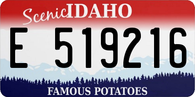 ID license plate E519216