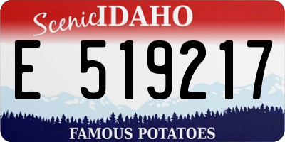 ID license plate E519217