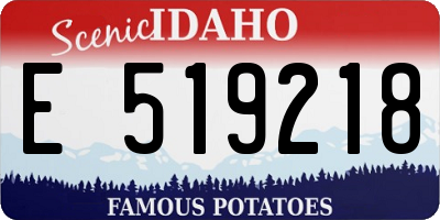 ID license plate E519218