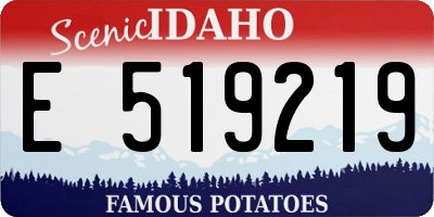 ID license plate E519219