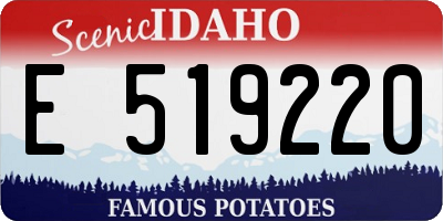 ID license plate E519220