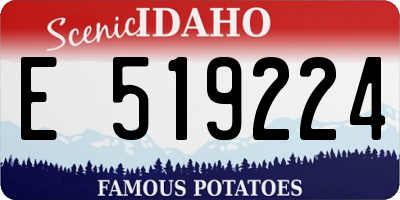 ID license plate E519224