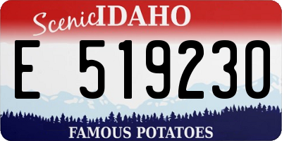 ID license plate E519230