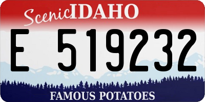 ID license plate E519232
