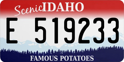 ID license plate E519233