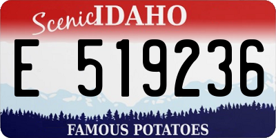 ID license plate E519236