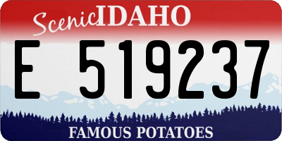 ID license plate E519237