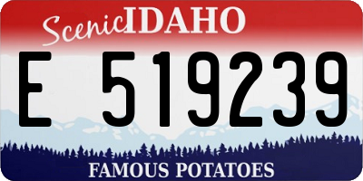 ID license plate E519239