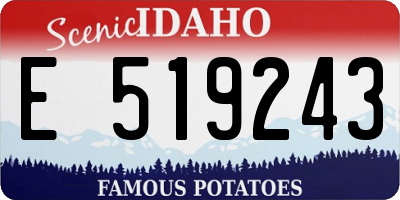 ID license plate E519243