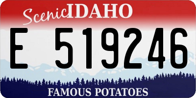 ID license plate E519246