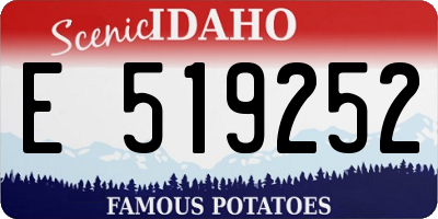 ID license plate E519252