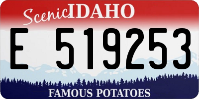 ID license plate E519253