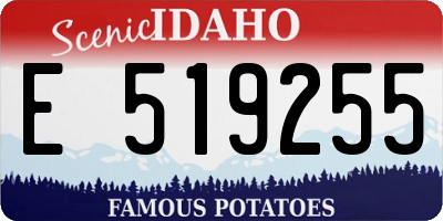 ID license plate E519255