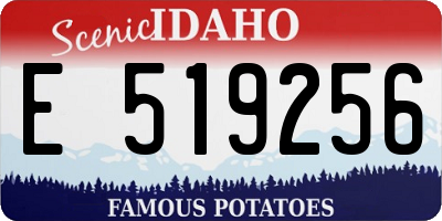 ID license plate E519256