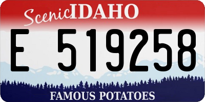 ID license plate E519258