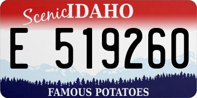 ID license plate E519260