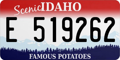 ID license plate E519262