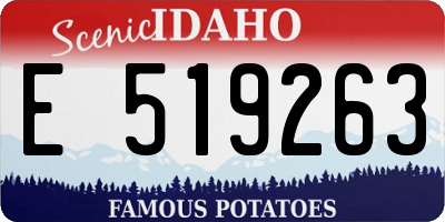 ID license plate E519263