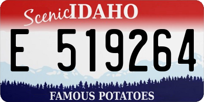 ID license plate E519264