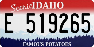 ID license plate E519265