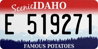 ID license plate E519271