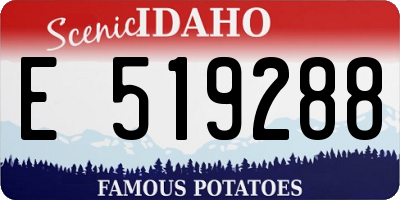 ID license plate E519288