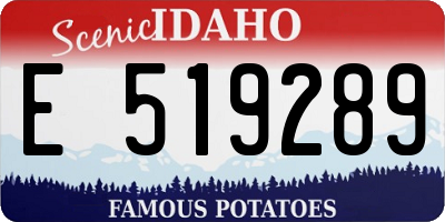 ID license plate E519289
