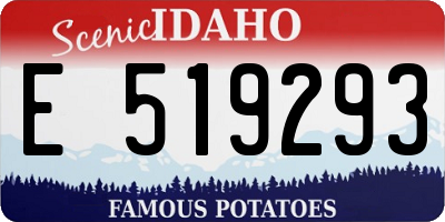 ID license plate E519293