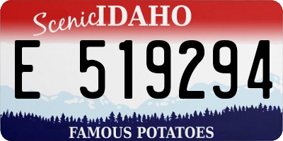ID license plate E519294