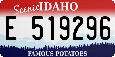 ID license plate E519296