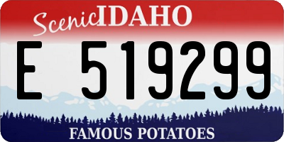 ID license plate E519299