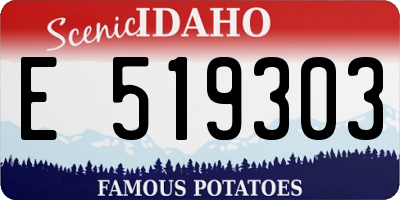 ID license plate E519303