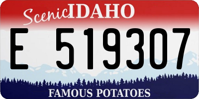 ID license plate E519307