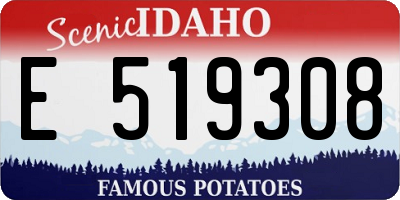 ID license plate E519308