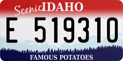 ID license plate E519310