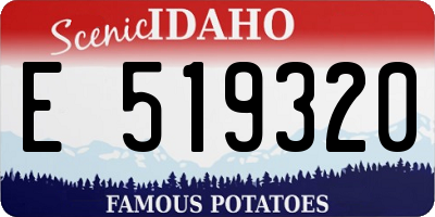 ID license plate E519320