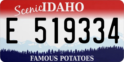 ID license plate E519334