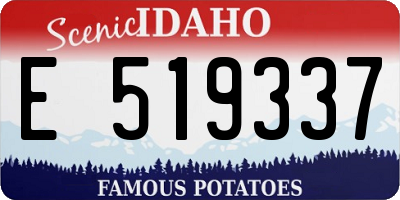 ID license plate E519337