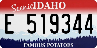 ID license plate E519344