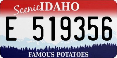 ID license plate E519356