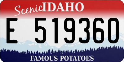 ID license plate E519360
