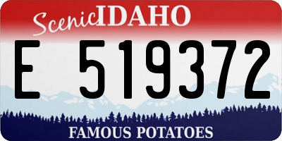 ID license plate E519372
