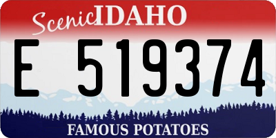 ID license plate E519374