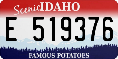 ID license plate E519376