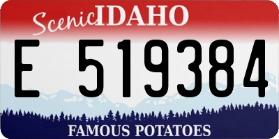 ID license plate E519384