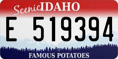 ID license plate E519394