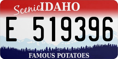 ID license plate E519396
