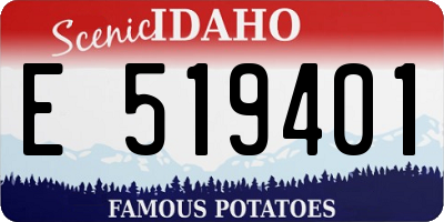 ID license plate E519401